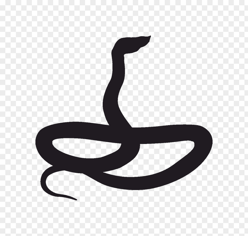 Snake Silhouette Ptyas Mucosa Clip Art PNG