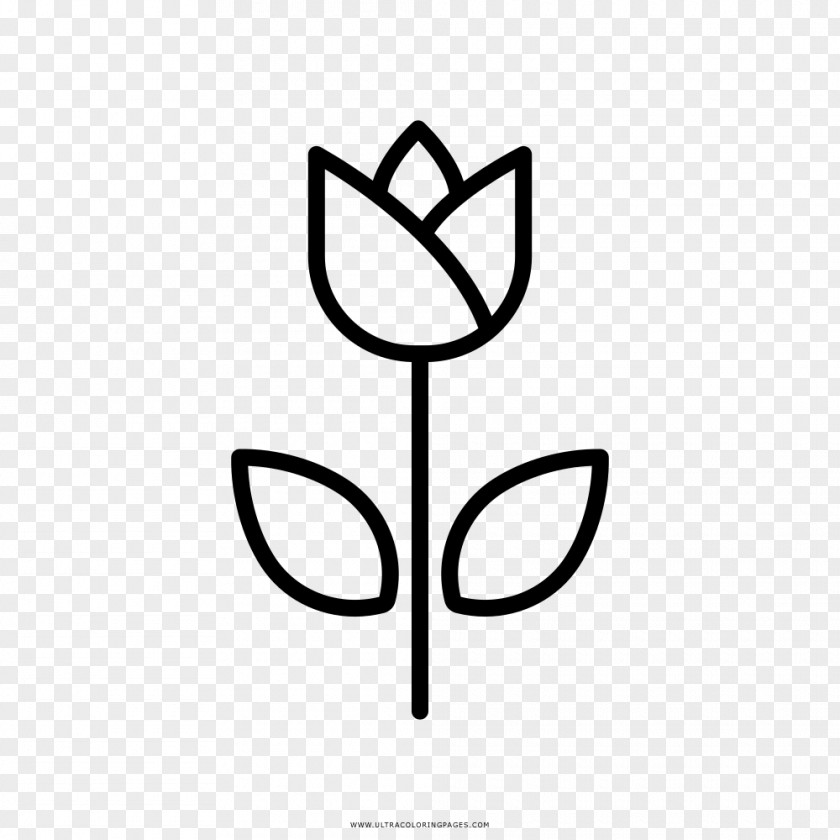 Tulip Drawing Coloring Book Flower Blume PNG