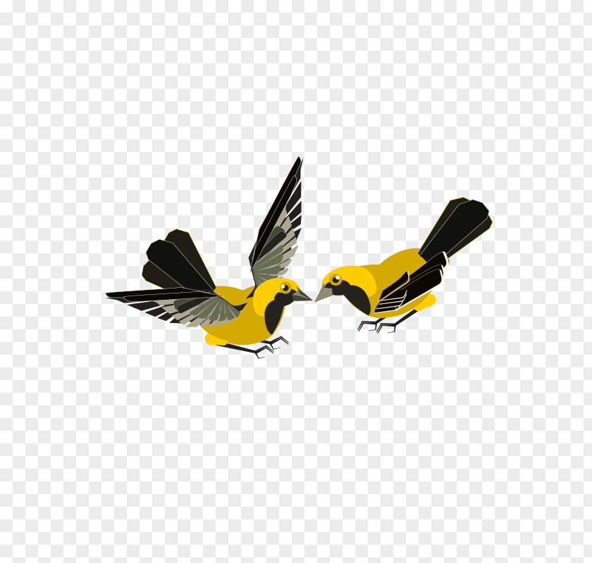 Aves Pennant Clip Art Finches Flight Bird Vector Graphics PNG