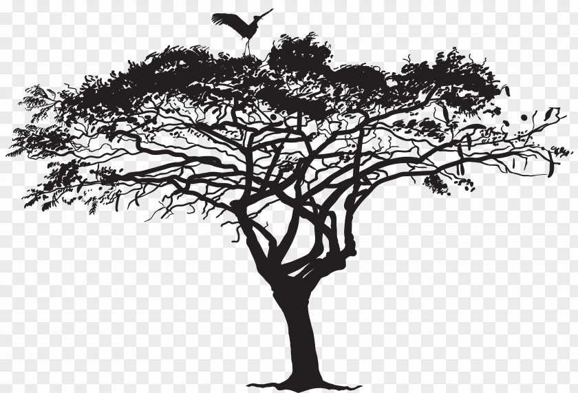 Exotic Tree And Bird Silhouette Clip Art Image Flock PNG