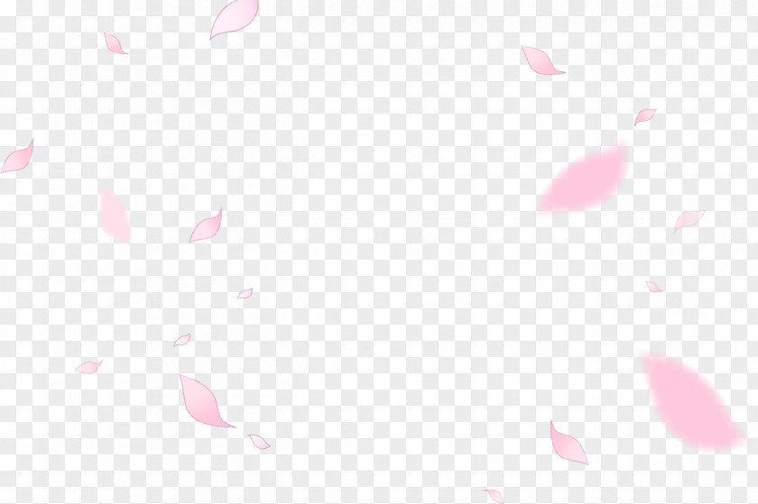 Pink Petals Wedding Petal Leaf West Indian Raspberry Pattern PNG