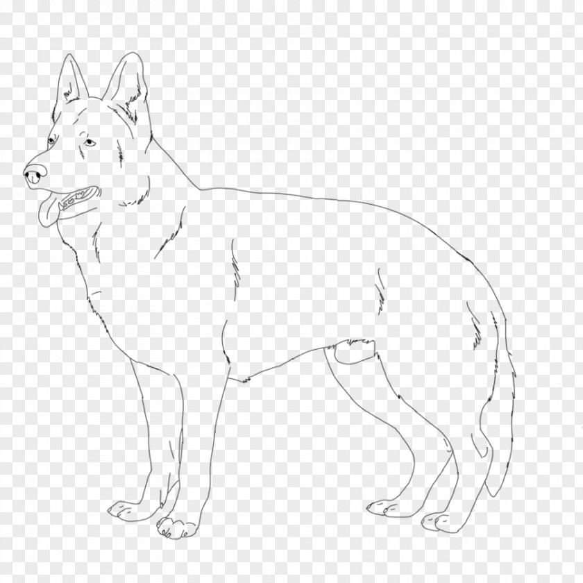 Dog Breed Line Art Whiskers Paw PNG
