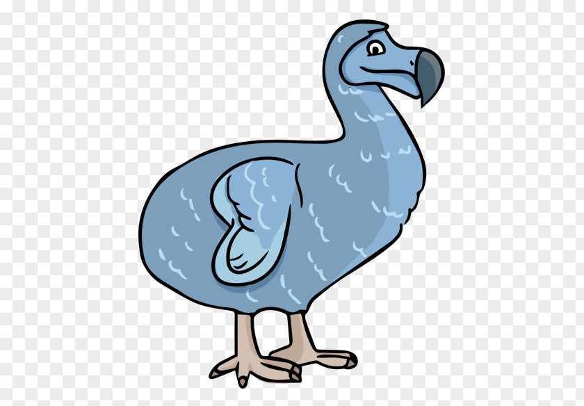 Extinct Cliparts Dodo Extinction Clip Art PNG