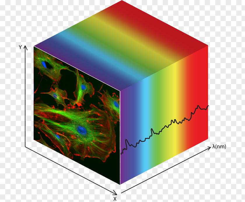 Multispectral Image Hyperspectral Imaging Data Cube Photon Etc. Market Analysis PNG