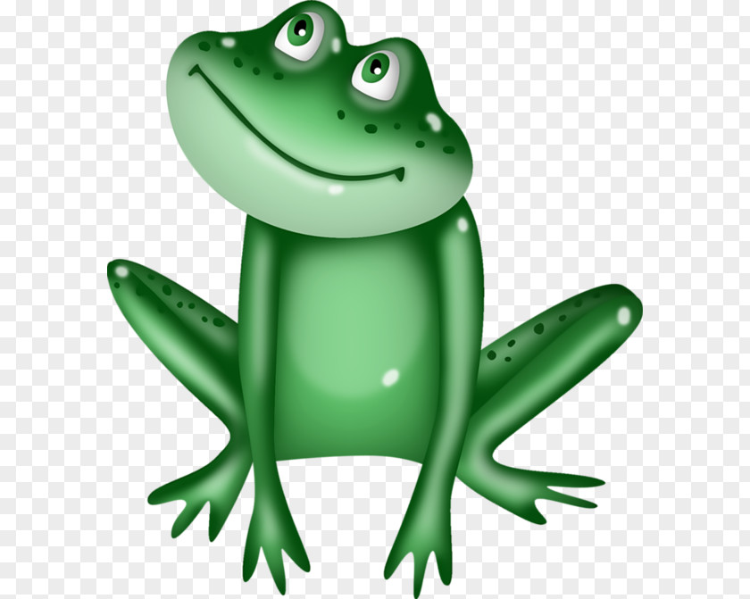 A Frog True Tree Toad Rat PNG