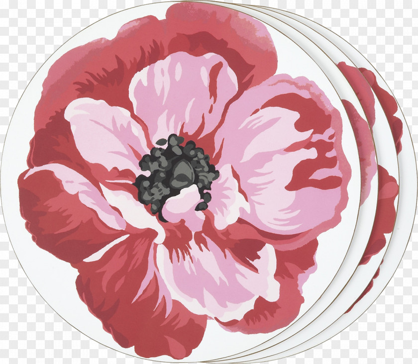 Poppy Drawing Laura Ashley Holdings Clip Art Design Remembrance PNG