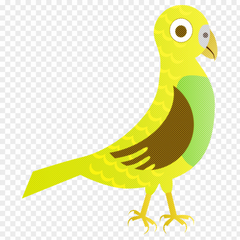 Tail Pigeons And Doves Bird Yellow Beak Green Cartoon PNG