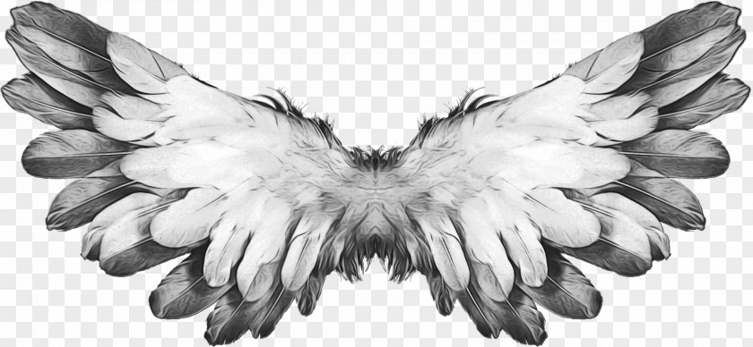 Blackandwhite Transparent Feather Angel Cartoon PNG