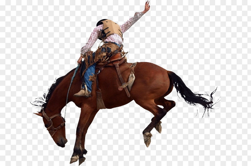 Cowboy Design Horse Rodeo Equestrian Bronc Riding Bucking PNG