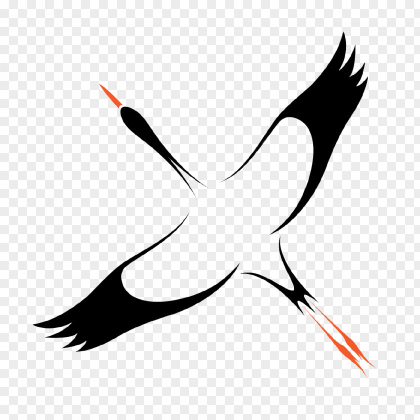 Stork Heron White Asian Openbill Clip Art PNG