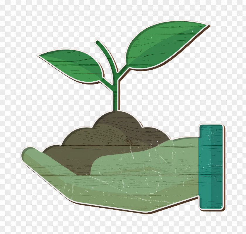 Tree Icon Sprout House Plants PNG