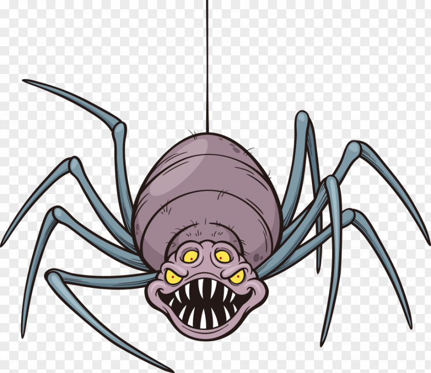 Vector Spider Cartoon Royalty-free Illustration PNG