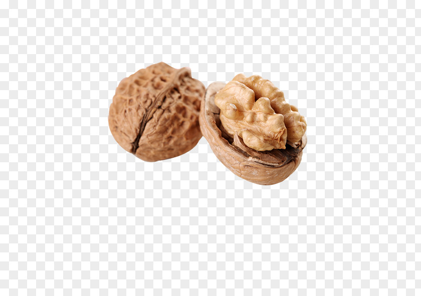 Walnut Bxe1nh Food Computer File PNG