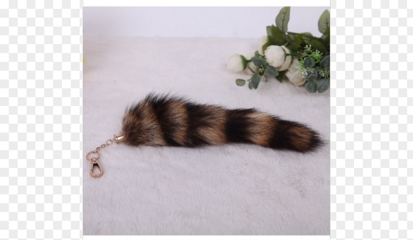 Cat Fur Tail PNG