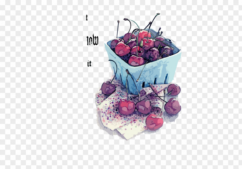 Cherry Drawing Illustration PNG