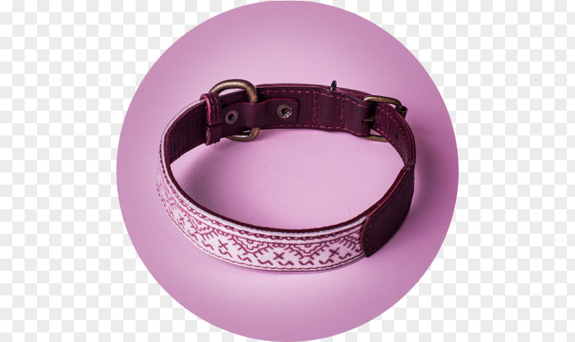 Dog Collar Leather Belt Buckles Шевица PNG