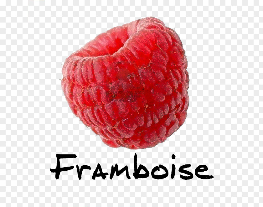 Framboise Raspberry Pi Auglis PNG