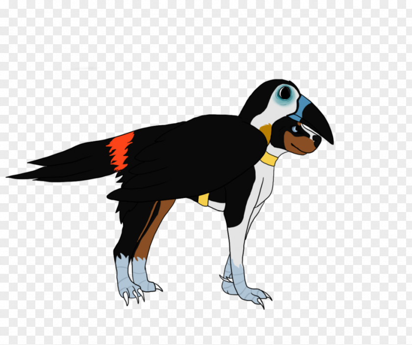 Penguin Beak Toucan Fauna Cartoon PNG