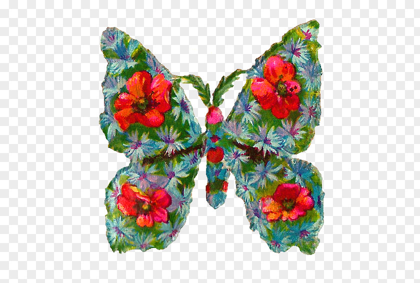 Red Butterfly Pollinator Clip Art PNG