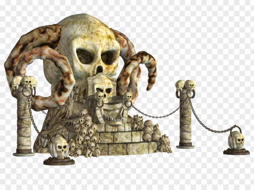 Skull Skeleton Bone Stock PNG