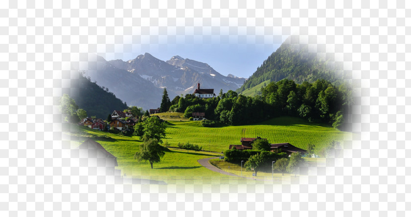 Switzerland Desktop Wallpaper Alps Laptop Tree PNG