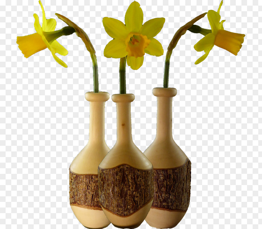 TWIG Vase Flowerpot Glass Bottle PNG