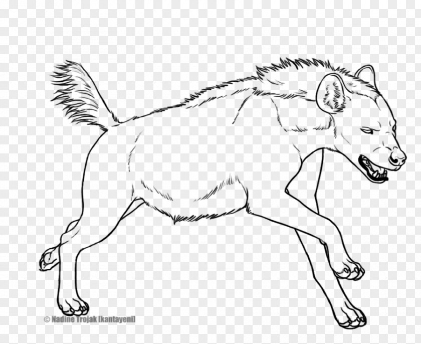 Hyena Striped Line Art Drawing Spotted PNG
