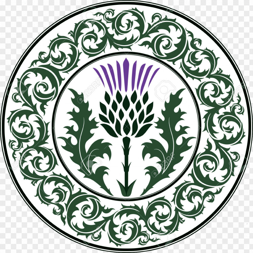 Lallybroch National Symbols Of Scotland Thistle Clip Art PNG