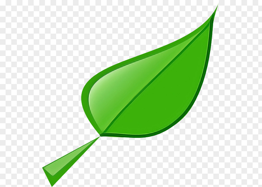 Logo Plant Leaf Green Clip Art Line PNG