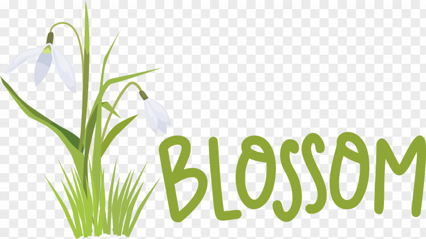 Plant Stem Flower Grasses Font Herbal Medicine PNG