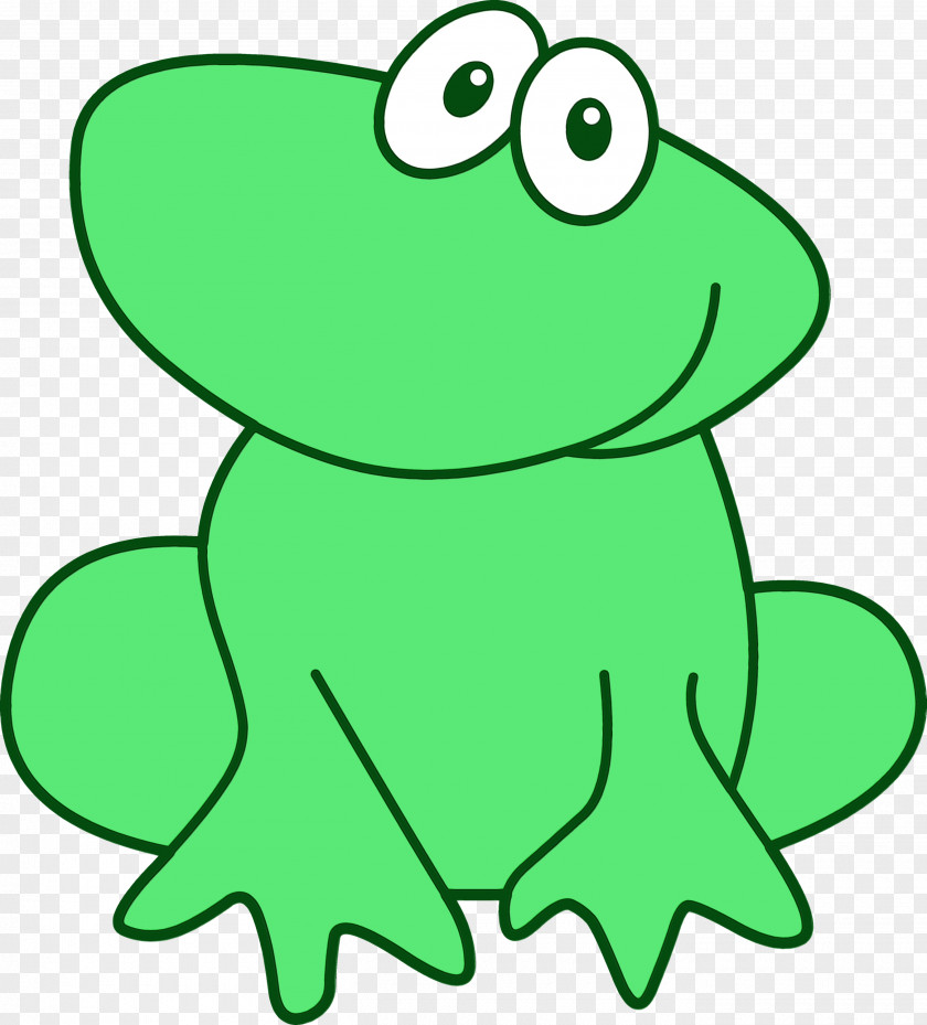 Shrub Frog Toad Green Hyla True Tree PNG