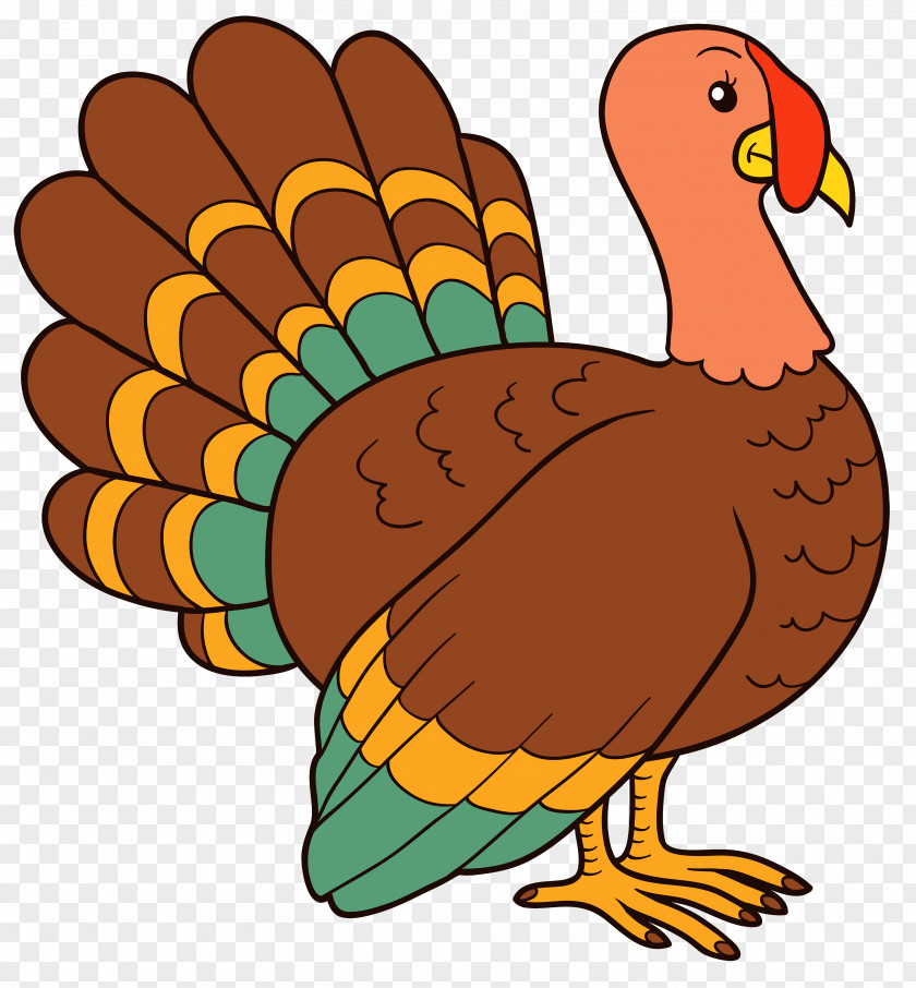 Turkey Image Clip Art PNG