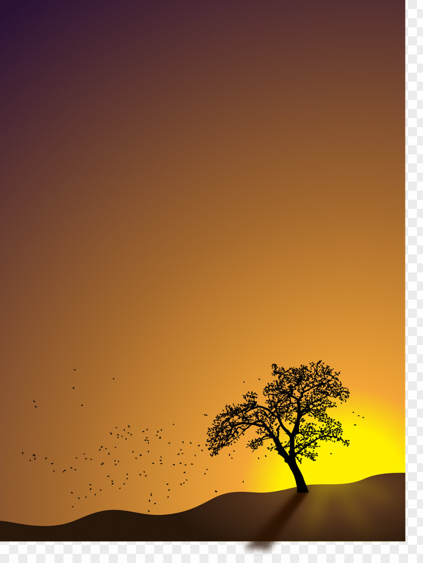 Autumn Desktop Wallpaper Image Stock.xchng Landscape PNG
