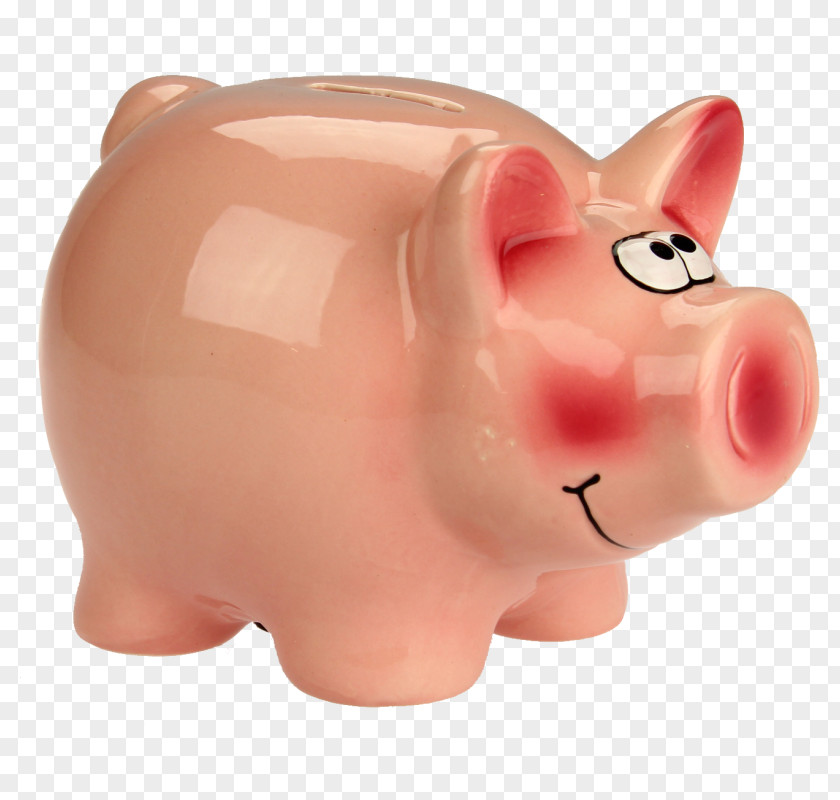 Blick Domestic Pig Piggy Bank Tirelire Ceramic Money PNG