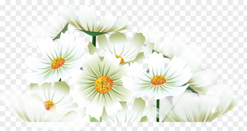 Camomile Citation Khanty-Mansi Autonomous Okrug Information PNG