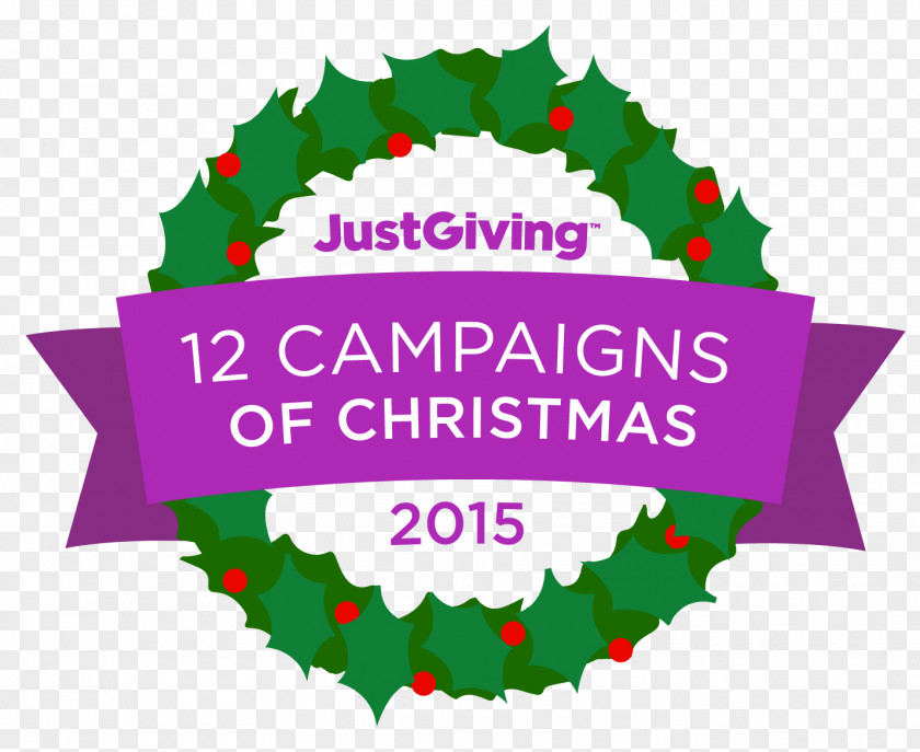 Christmas Campaign Charitable Organization Fundraising Charity Donation PNG