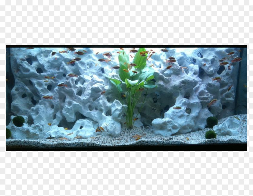 Crushed Stone Aquariums Universal Rocks Aquarium Lighting Koi PNG