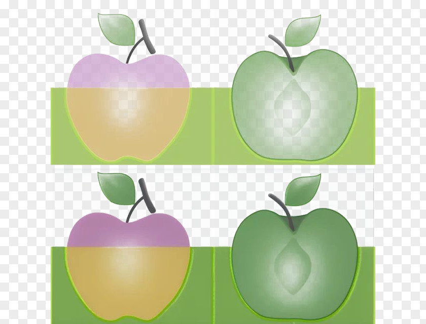 Divided Apple Granny Smith Icon PNG