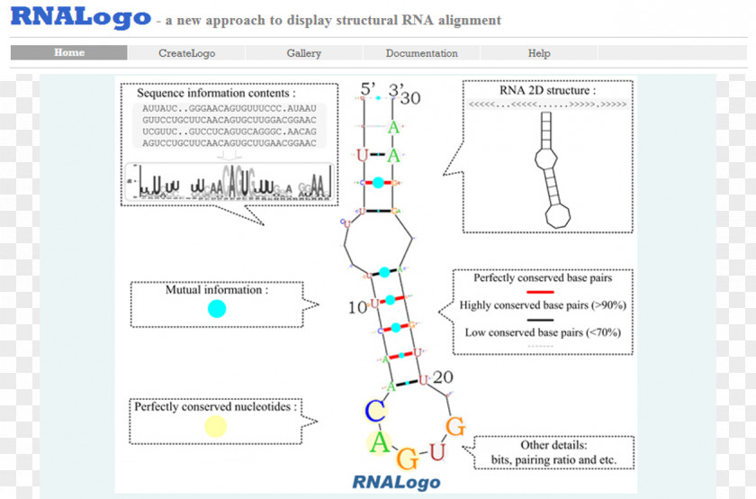 Hsinchu Protein Secondary Structure Sequence Alignment RNA Nucleic Acid PNG