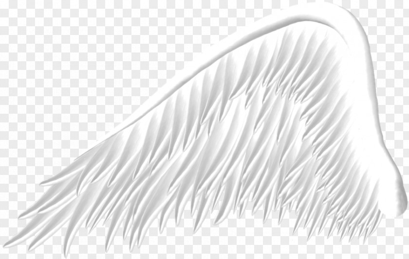 White Wings Wing PicsArt Photo Studio PNG