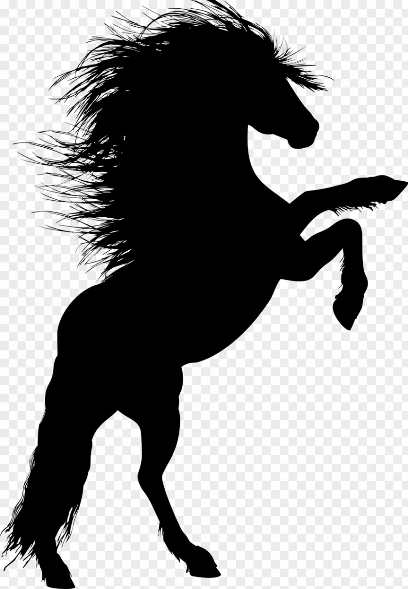 Animal Silhouettes Horse Stallion Rearing Silhouette Unicorn PNG