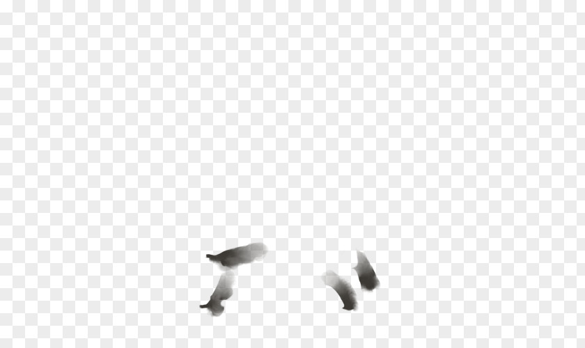 Bird White Beak Desktop Wallpaper Feather PNG