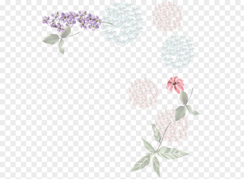 Chou Floral Design Flowering Plant Pattern PNG