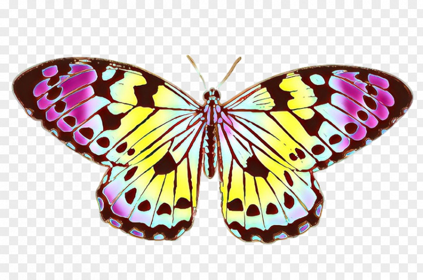 Clip Art Swallowtail Butterfly Black Eastern Tiger Cabbage White PNG