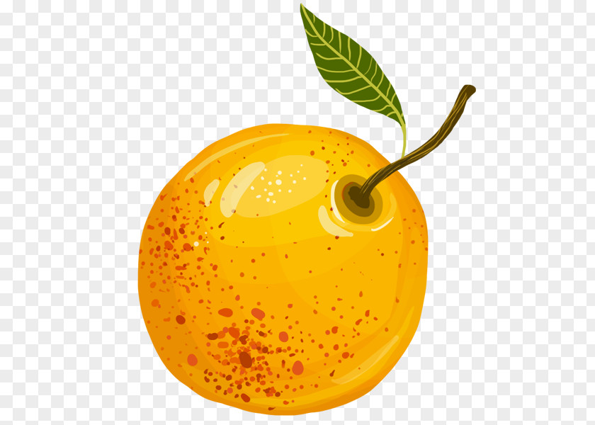 Cocktail Mirabelle Plum Drawing Fruit Cointreau PNG