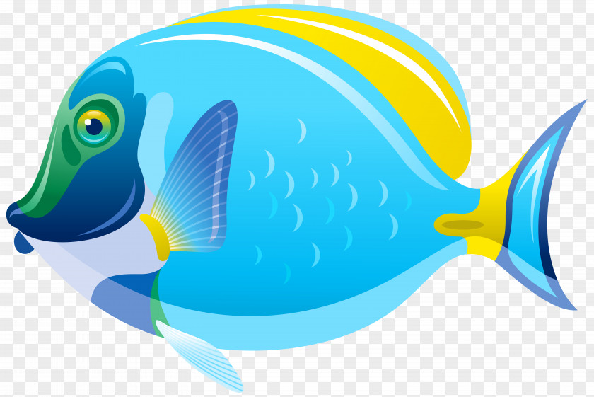 Fish Clip Art Image PNG