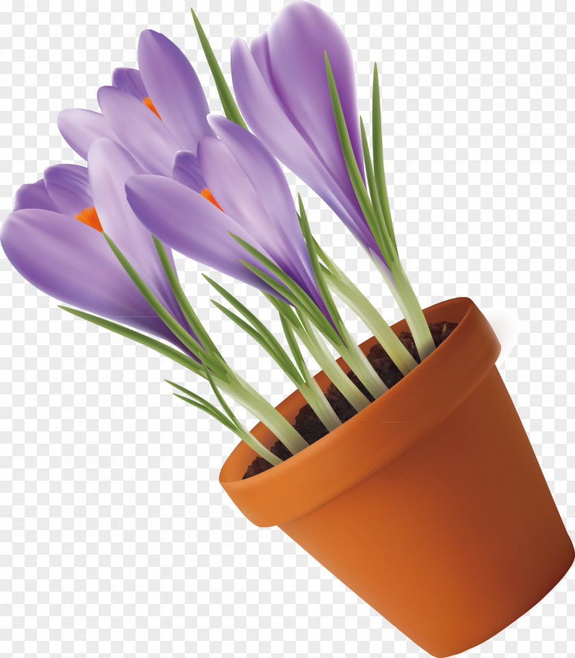 Purple Tulip Lavender Vector Euclidean PNG