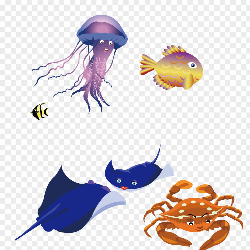 Aquatic Outline Vector Graphics Stock Illustration Royalty-free Image PNG
