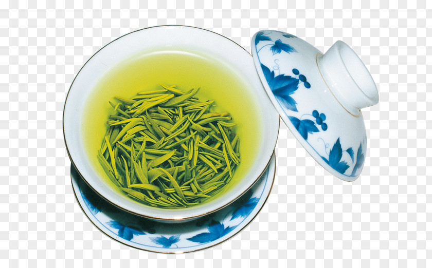 Fresh Cup Of Tea Green Puer City Chawan Teaware PNG
