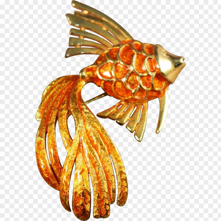 Goldfish Clothing Accessories Jewellery Decapoda Seafood Organism PNG